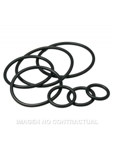 KIT O-RING para horquilla FS32