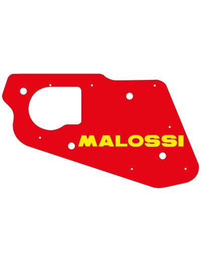 Filtro Aire Malossi Amico,...