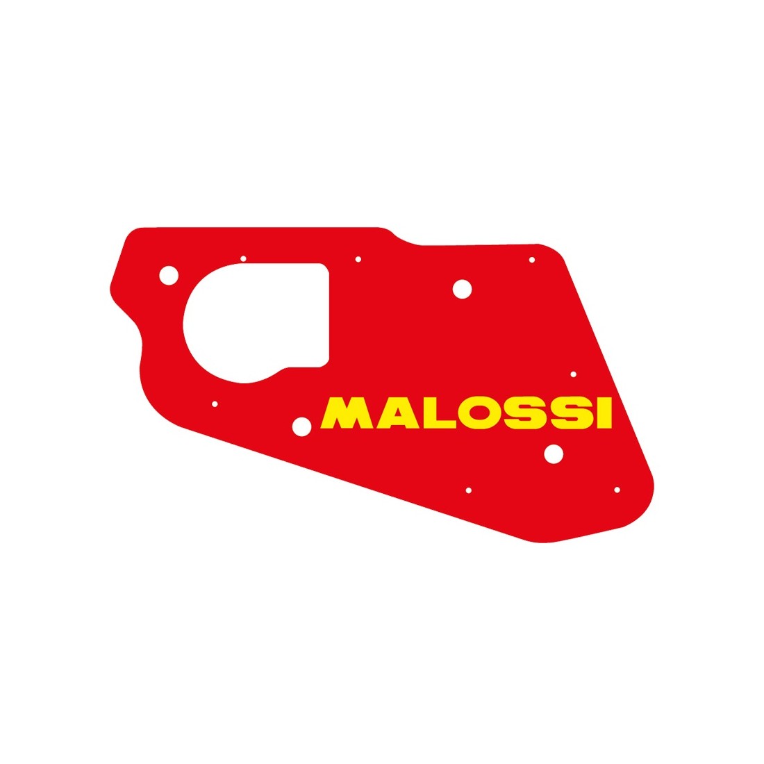 Filtro Aire Malossi Amico, SR 50