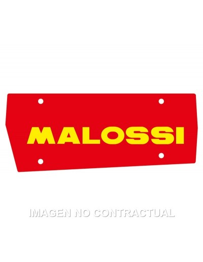 Filtro Aire Malossi...
