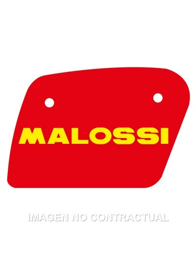 Filtro Aire Malossi...