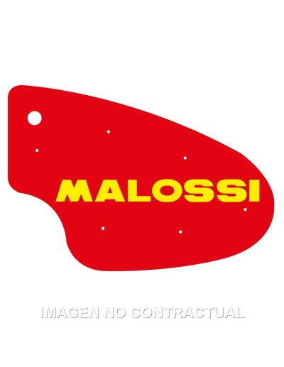 Filtro Aire Malossi...