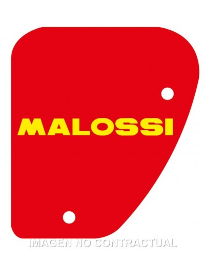 Filtro Aire Malossi...