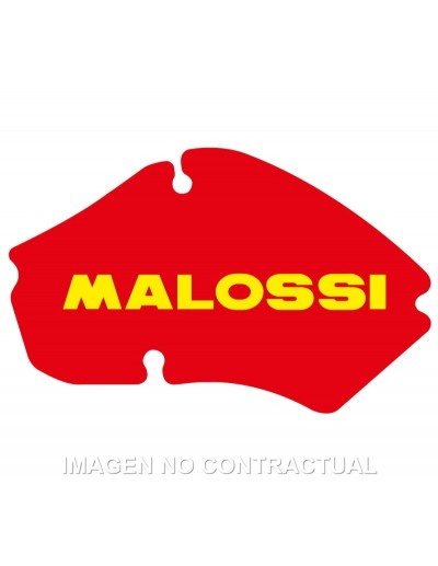 Filtro Aire Malossi Piaggio...