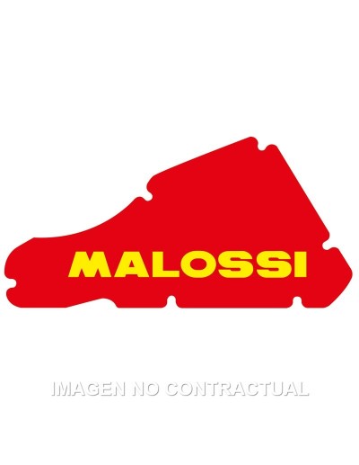 Filtro Aire Malossi Storm,...