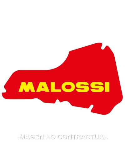 Filtro Aire Malossi Liberty...