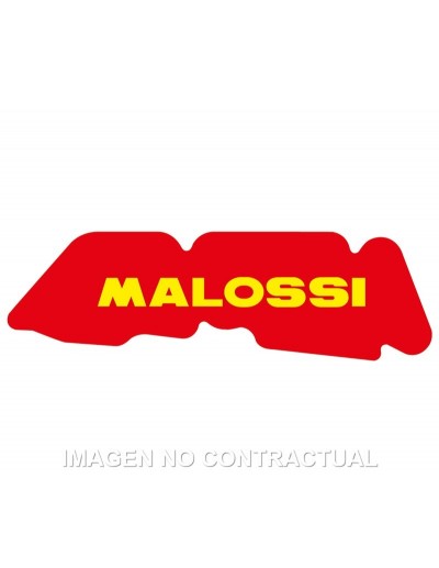 Filtro Aire Malossi...
