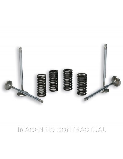 Válvulas t Stroke Malossi...