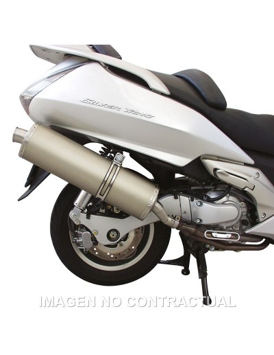 Tubarro Maxi Wild Lion...