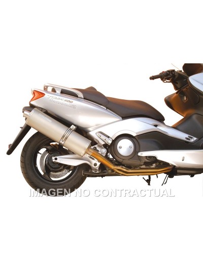 Tubarro Maxi Wild Lion...