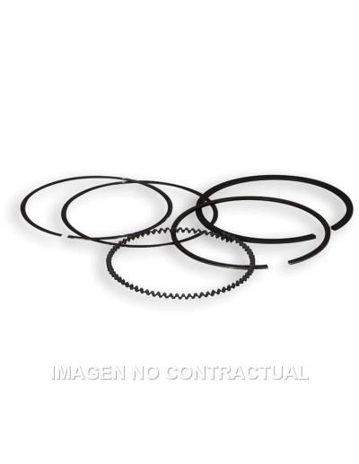 Segmentos Diámetro 61 mm...