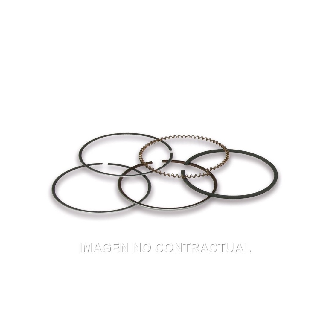 Segmentos Malossi acero D.49  Piaggio Liberty 50 4T