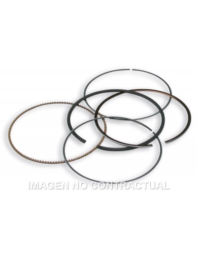Segmentos D. 75,5 mm