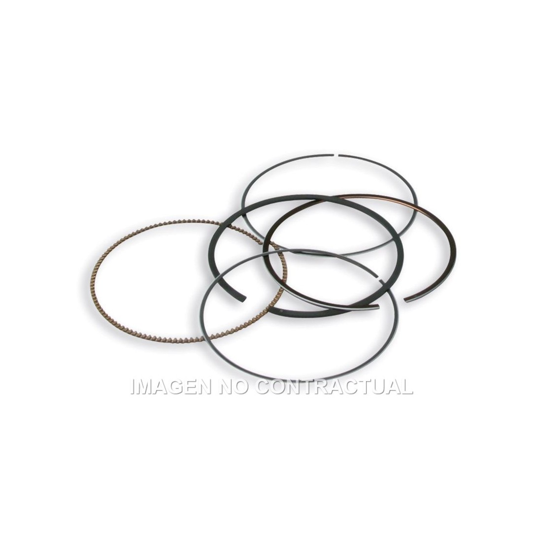Segmentos D. 75,5 mm
