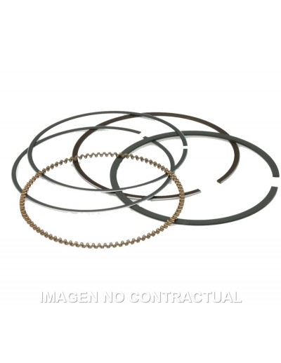 Segmentos D. 74X1 mm...