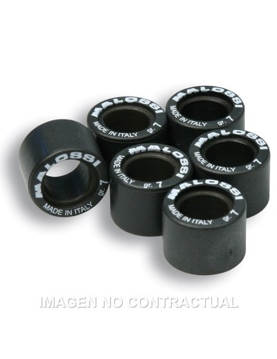 Rodillos Htroll 17X12,3 5,5GR