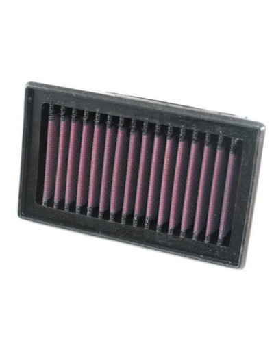 Filtro aire K&N BMW F 800 S/R