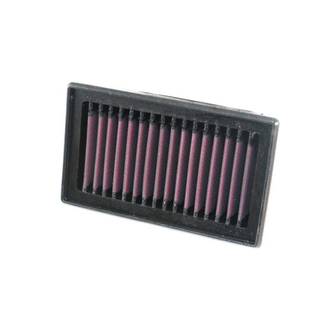 Filtro Aire K&N BMW F 800 S/R