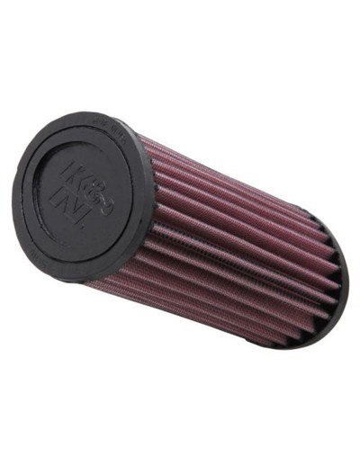 Filtro aire K&N Trimph...