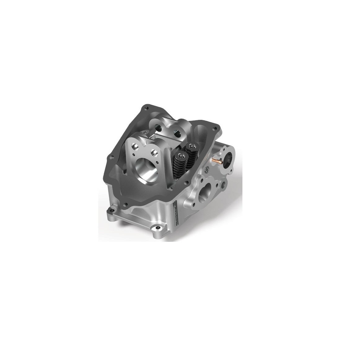 Culata Malossi V4 Head Piaggio 250 / 300 4T