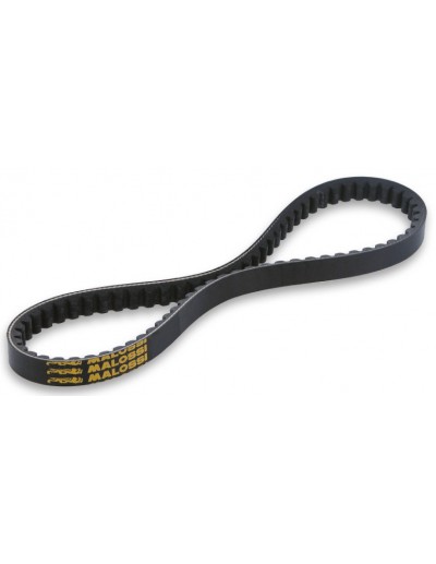 Correa Transmisión X-Belt...
