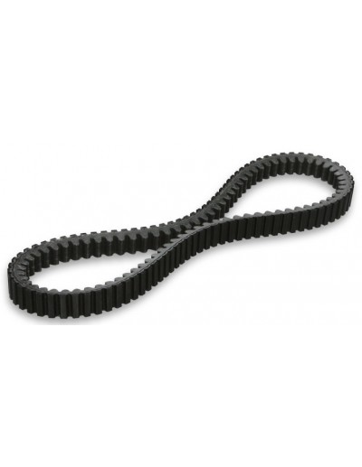 Correa X Kevlar Belt...