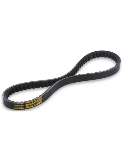 Correa X Kevalr Belt MHR