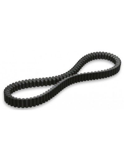 Correa X Kevlar Belt...