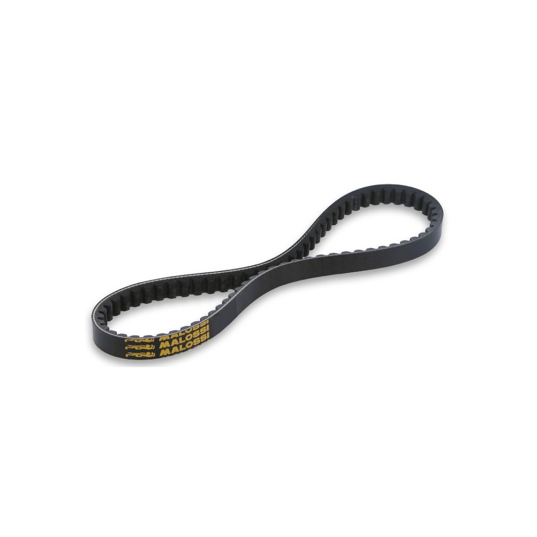 Correa X Kevlar Belt Piaggio X10