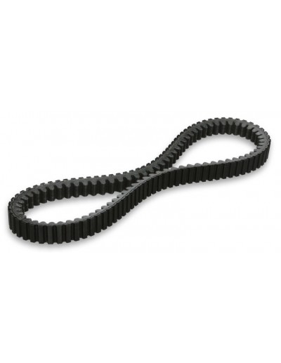 Correa X Kevlar Belt...