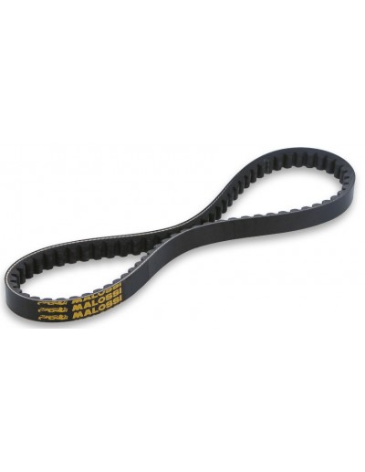 Correa Transmisión X-Belt...