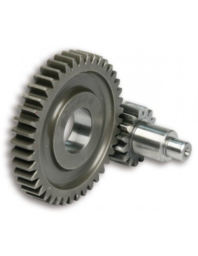 Desarrollo Secundario Motor...