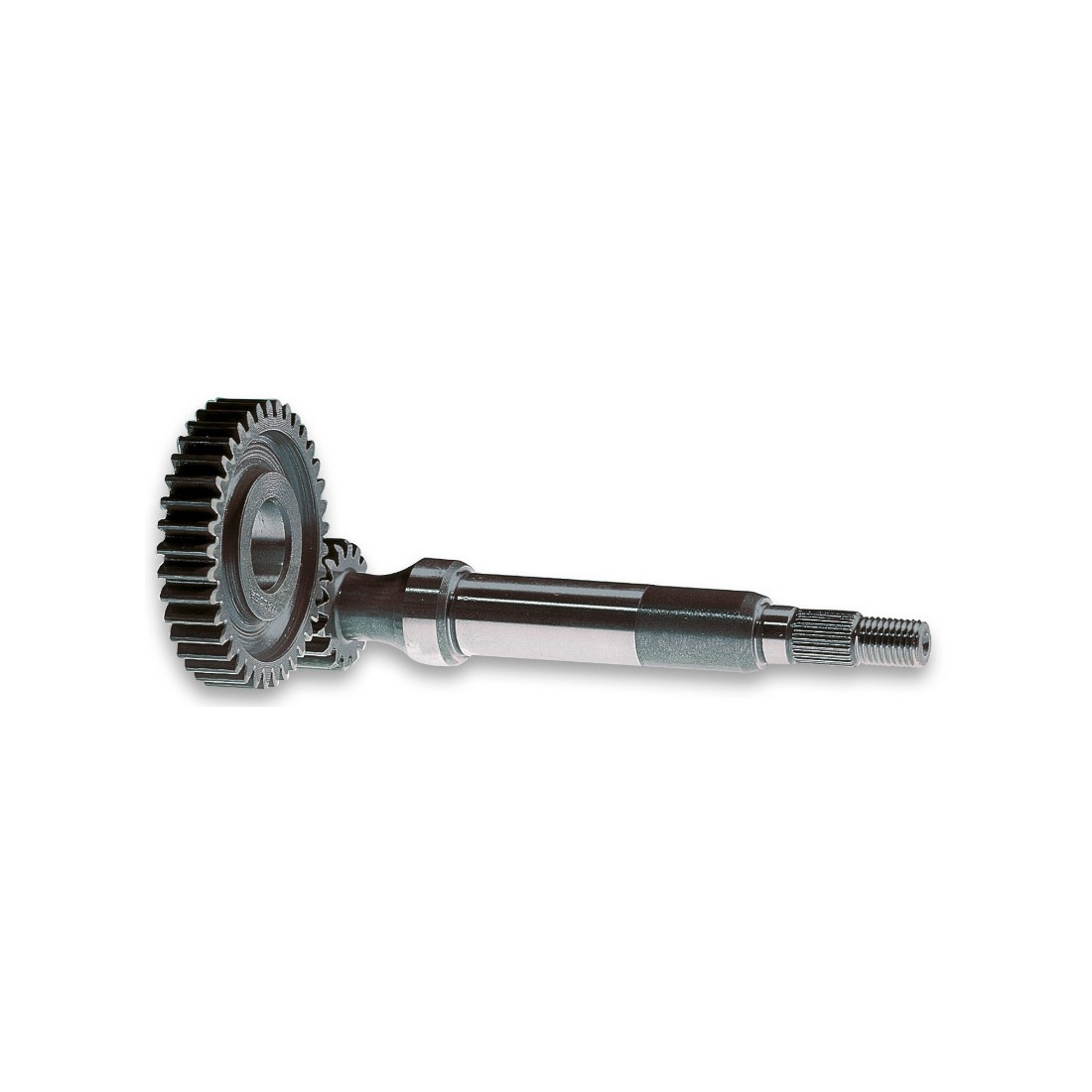 Desarrollo Primario Honda SH 50 Fifty