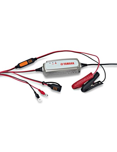 Cargador Batería YEC-8...