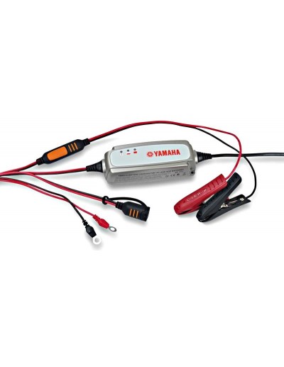 Cargador Batería YEC-8...