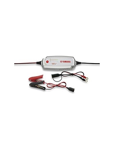 Cargador Batería YEC-40...