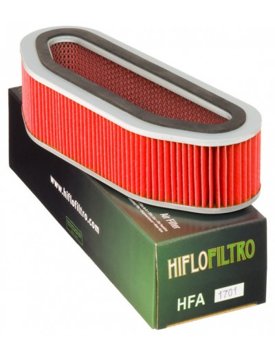 Filtro Aire Hiflofiltro...