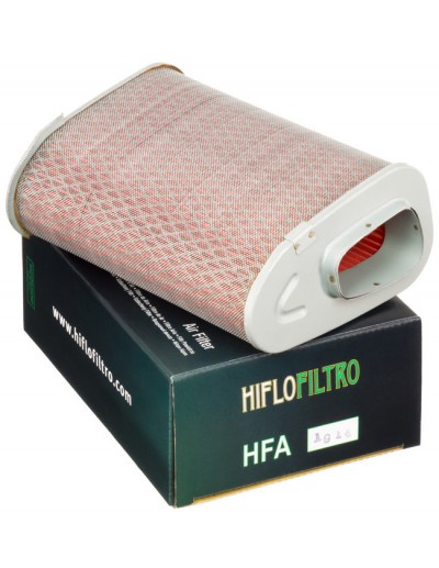 Filtro Aire Hiflofiltro...