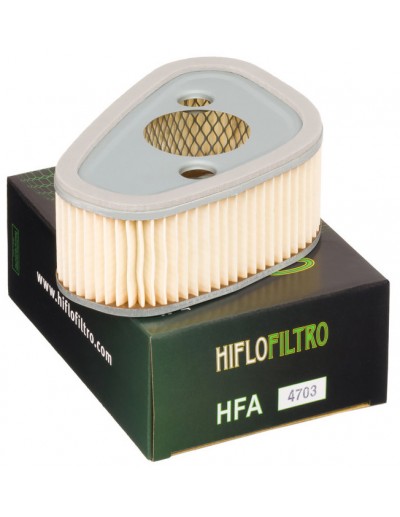 Filtro Aire Hiflofiltro...