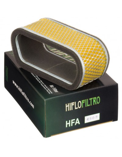 Filtro Aire Hiflofiltro...