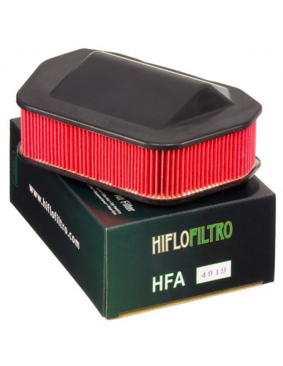 Filtro Aire Hiflofiltro...