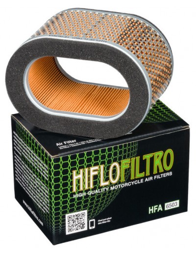 Filtro Aire Hiflofiltro...